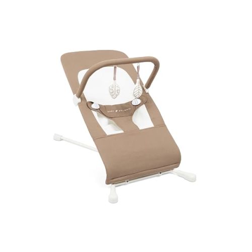 Baby Delight Highland Baby Bouncer | Infant | 0 – 6 Months | 3-Position Recline | Mocha Tweed