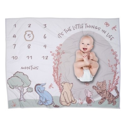 Lambs & Ivy Pooh Bear & Pals Milestone Baby Blanket - Brown, White, Green