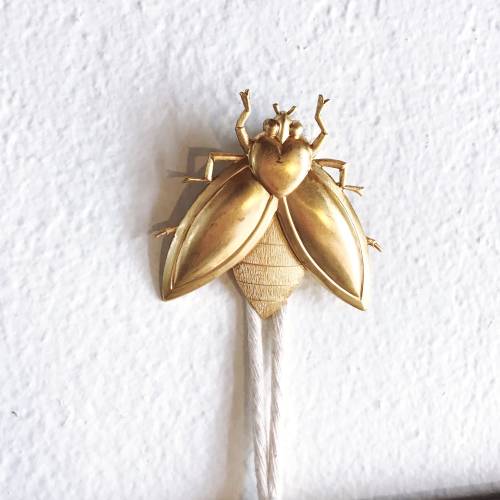 Lovebug Decor / Insect Decor / Macrame Accessory / Brass Embellishment / Etymology / Scientific Decor / Screw Covers