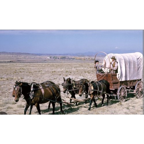 3 kid wagon fund