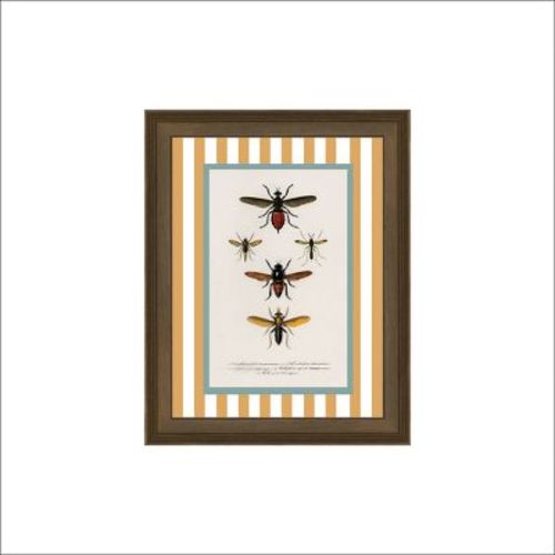 Petal Lane 8"x10" Insect Illustration Framed Wall Art Charcoal Brown