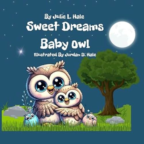Sweet Dreams Baby Owl