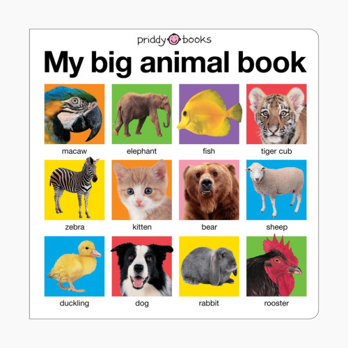 Macmillan My Big Animal Book