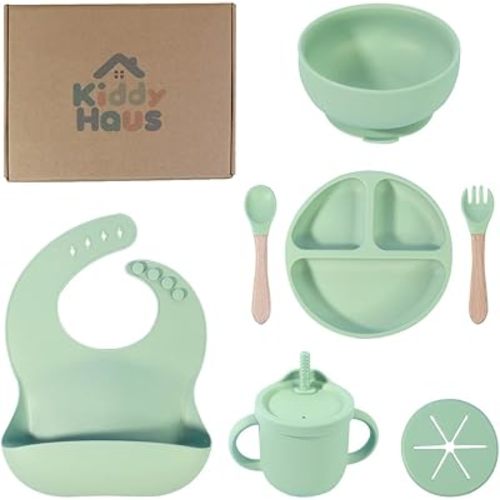 Silicone Baby Feeding Set | BPA-FREE |9 PCS Baby Led Weaning Supplies Self Feeding Utensils | Divided Suction Plate Bowl Bib Training Sippy Cup Spoon Fork (Green)
