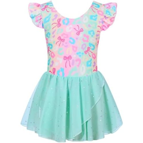Funnycokid Ballet Leotards for Girls Dress Outfit Toddler Ballerina Dance Tutu with Sequined Chiffon Skirt 2-7 Years