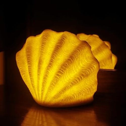 Ocean lamp,beach lamps,sea shell night light,lamps with shells,night lights,Battery LED light,Auto Off Timer,For Bedroom & bathroom & Camping,Sandstone Material(Non-real shell) (Shell-shaped lamp)