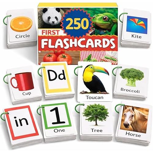 Flash Cards for Toddlers 1–3 with Rings,250 Double-Sided Cards,500 Words–1 Year Old Girl & Boy Gifts – Toddler Flash Cards–Learning & Educational Toys for 1+ Year Old, Montessori Toys for 2 Year Olds