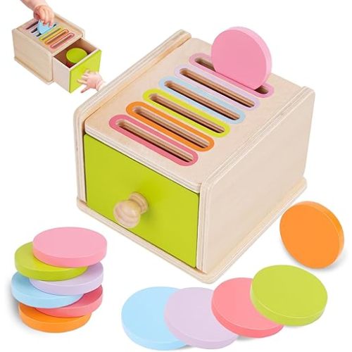 FCSONU Toddlers Montessori Coin Box Toys for 1 2 3 Year Old, Wooden Baby Toys for Toddlers 1-3, Color Sorting & Stacking Sensory Toys for Ages 2-4 Kids, Easter Birthday for Boys Girls