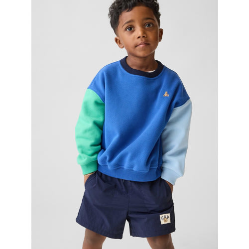 Baby & Toddler VintageSoft Colorblock Sweatshirt