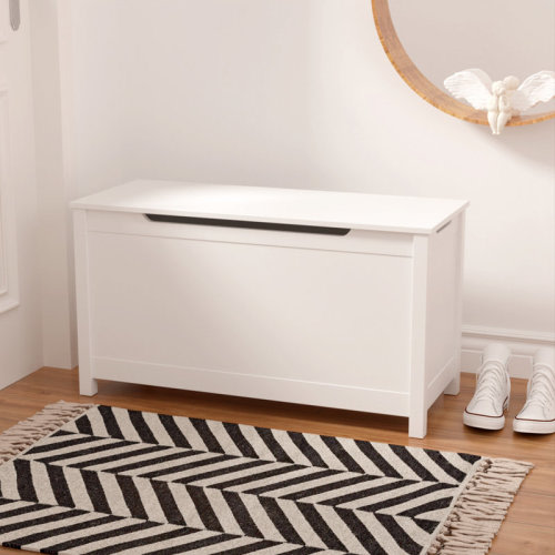 Ebern Designs Ennassim Ebern Designs Toy Box with Safety Hinged Lid & Reviews | Wayfair