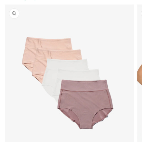 Bodily All-In Panty Multi Pack for Postpartum & C-Sections