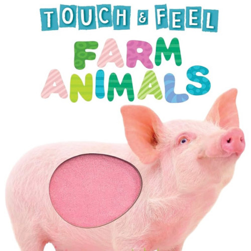 Touch and Feel Farm Animals - Novelty Book - Children's Board Book - Interactive Fun Child's Book