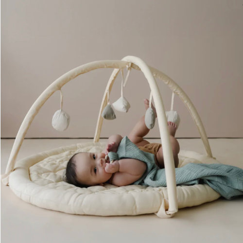 Play Gym