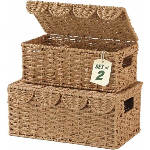 Set of 2 Scalloped Wicker Basket with Lid, Paper Rope Baskets for Shelves