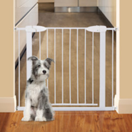 Dreambaby Boston Magnetic Auto Close Security Gate - White
