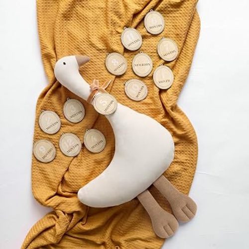Blueweenly 17.7" Goose Plush Animal Baby Monthly Milestone Signs Set