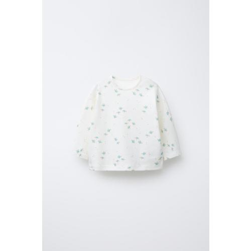 TURTLE PRINT T-SHIRT - Sea green | ZARA United States