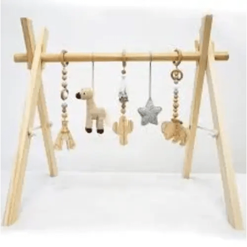 western activity gym - Google Search