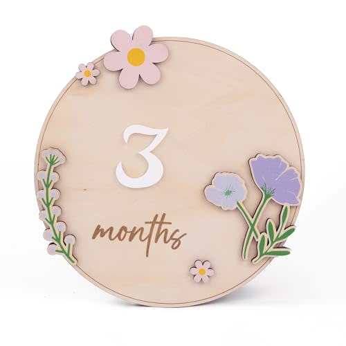 Wooden 3D Baby Monthly Milestone Cards Monthly Milestone Discs Newborn Photography Props Baby Announcement Sign Baby (Flower)