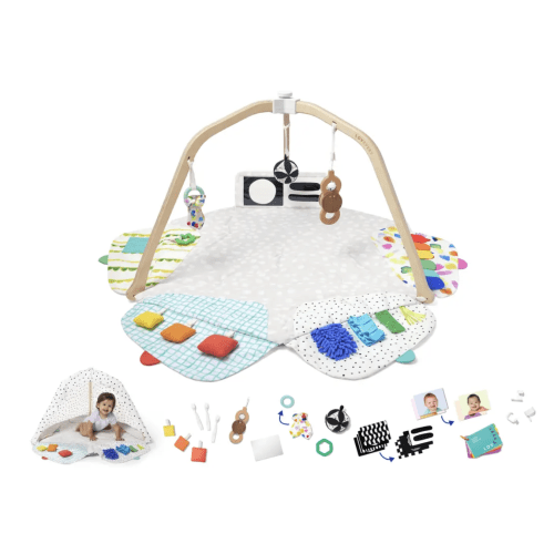 The Play Gym