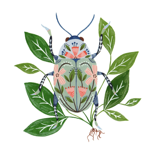 Flora Waycott's 'Beetle' print