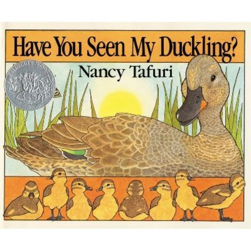 Have You Seen My Duckling? Board Book - (Caldecott Collection) by Nancy Tafuri