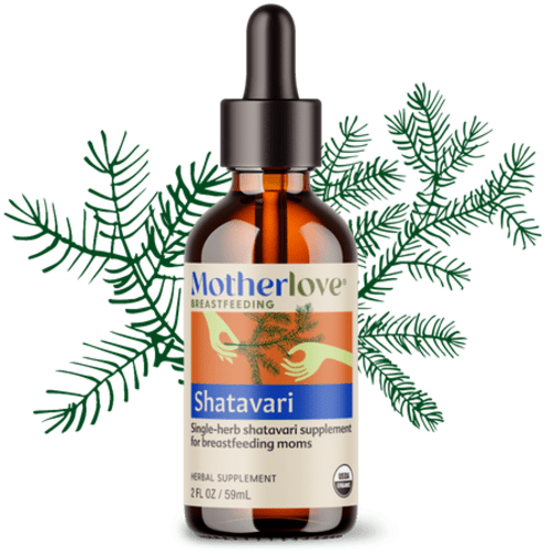 Shatavari - Tincture