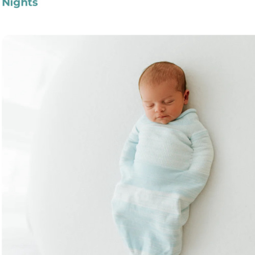 Blue Swaddle Sleep Sack – Swaddelini