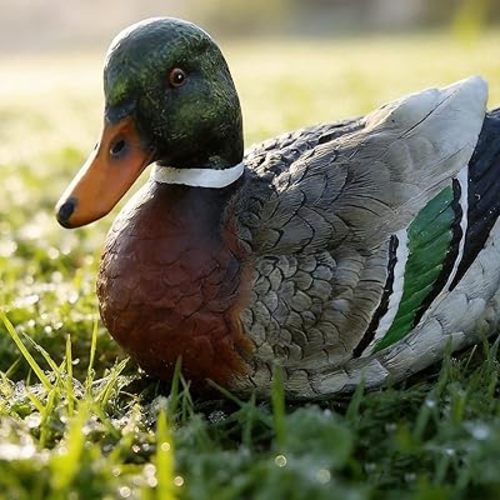 Mallard Duck Decor