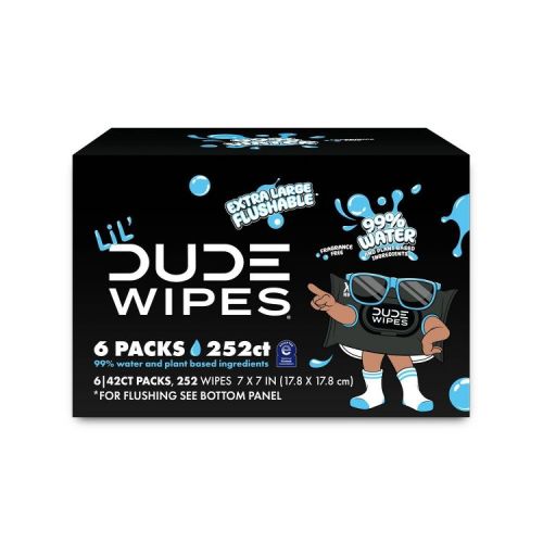 DUDE Wipes LiL' DUDE 99% Water Flushable Wipes for Kids', Unscented, Extra Large for Potty Training - 252ct