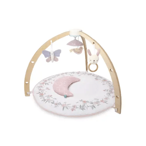 Baby Playmat
