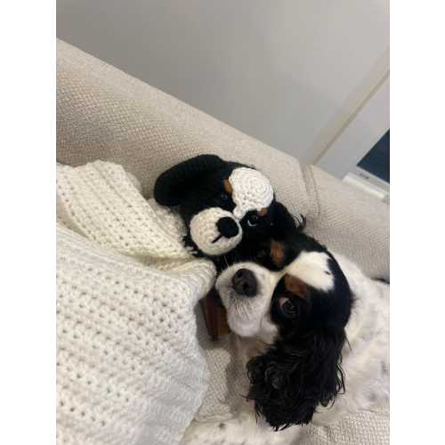 Custom Pet Lovey/Blankie Buddy