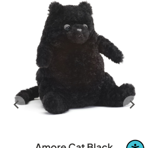 Amore Cat Black
