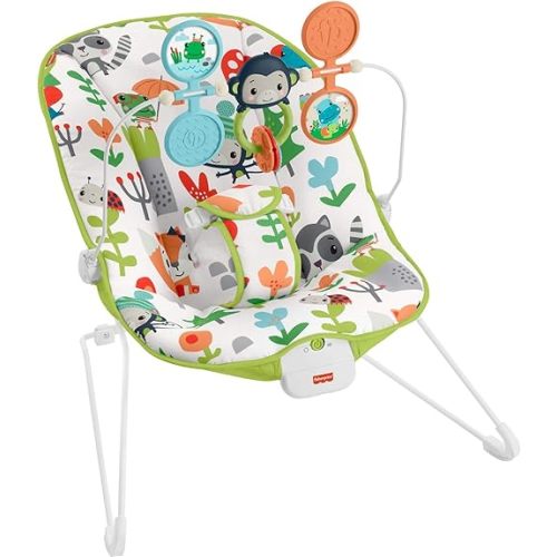 Fisher-Price Baby's Bouncer – Green, bouncing seat for soothing and play for newborns and infants [Amazon Exclusive]