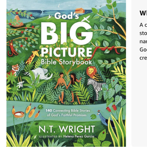 God's Big Picture Bible Storybook: 140 Connecting Bible Stories of God's Faithful Promises (God’s Big Picture Bible Stories)