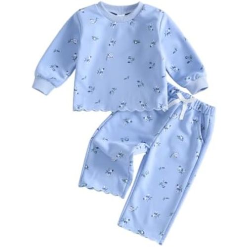 Toddler Baby Girl Clothes Fall Winter Outfits Shirts Pants Set