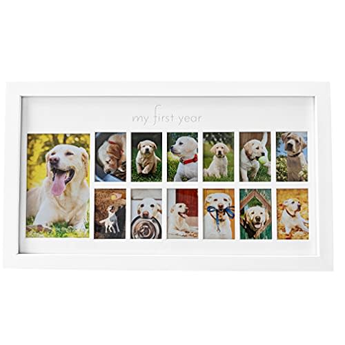 Green Pollywog My First Year Dog Picture Frame | 12-Month Photo Display | White Wood Keepsake | Fur Baby Milestone Gift