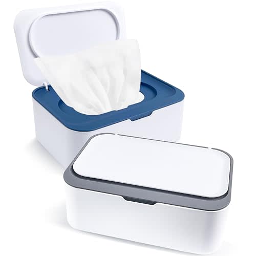 2Pcs Wipe Dispenser, Reusable Baby Wipe Holder Refillable Wipes Container, Easy Open & Close Wipes Pouch Case with Lid for Bathroom Baby Nursery Kitchen Office Travel (Blue/Gray)