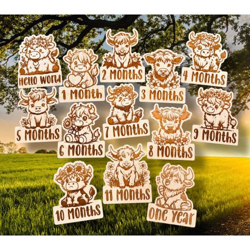 Highland Cow Baby Monthly Milestones