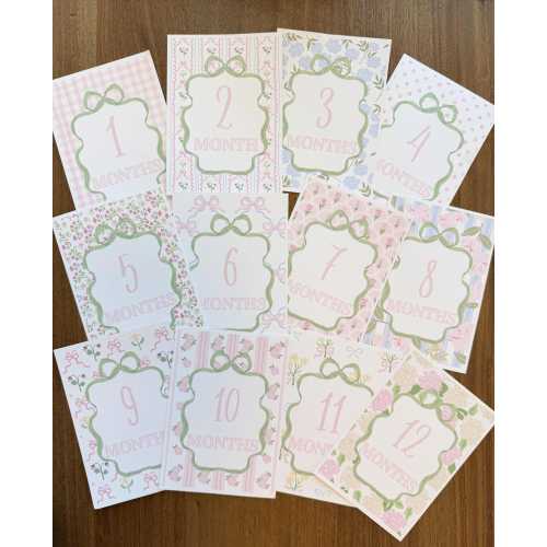 READY TO SHIP Baby Girl Milestone Cards, Pink Floral Watercolor, Linen Texture Photo Props