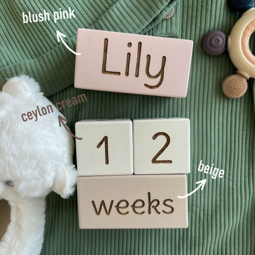 Baby Milestone Blocks, Wooden Baby Monthly Milestone Blocks, Baby Wood Age Block, Baby Blocks, Keepsakes, Baby Shower Gift, Baby Photo Props