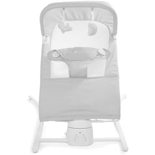 Baby Delight Alpine Wave Deluxe Infant Swing, Driftwood Grey