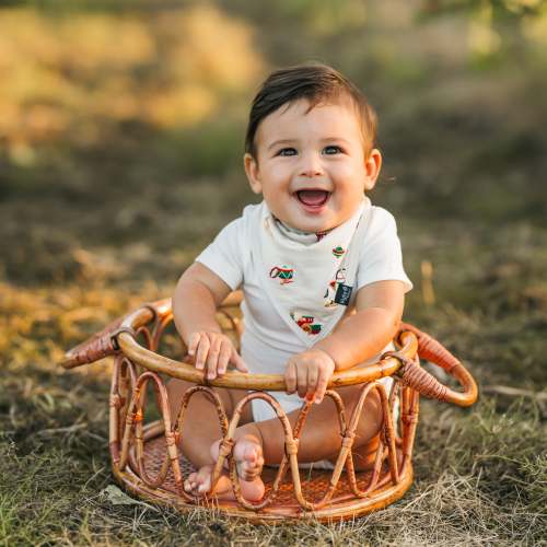 Bib in Vintage Toys