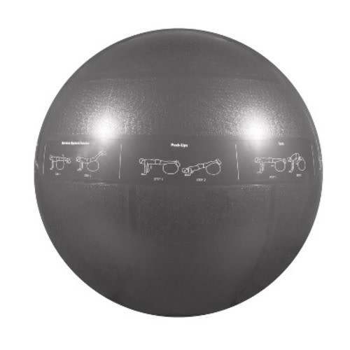 GoFit Guide Ball-Pro Grade Stability Ball - Gray
