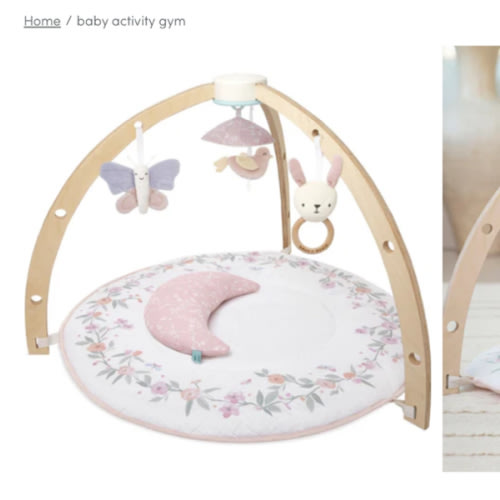 Baby Gym | Premium Baby Activity Gym | aden + anais