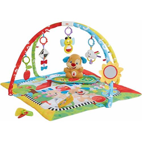 Fisher-Price Puppy 'n Pals Learning Gym