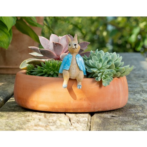 Peter Rabbit Pot Buddy Pot Hanger - Beatrix Potter - Gift Boxed Pot Buddies. Peter Rabbit Ornament Garden and Home
