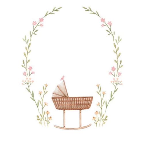 Layla’s Baby Registry (amazon)