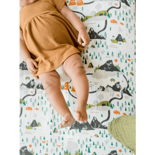 National Parks Crib Sheet