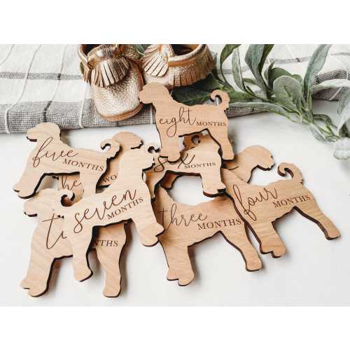 Dog Nursery Goldendoodle Monthly Milestone Plaques | Baby Shower Gift | Custom Goldendoodle Newborn Baby Gift for Dog Nursery | Dog Mom Gift